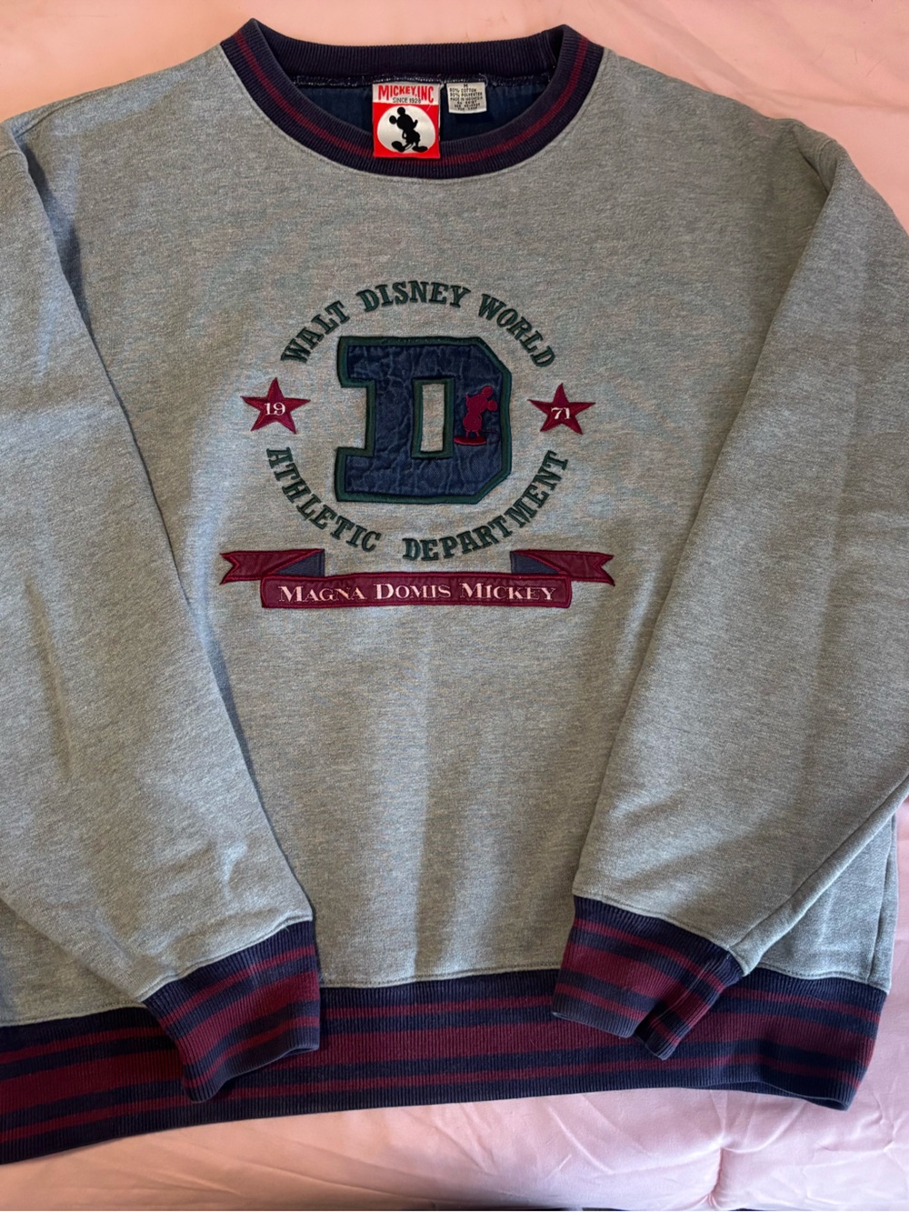 Disney Gray Crewneck Sweatshirt with Navy & Red Stripes